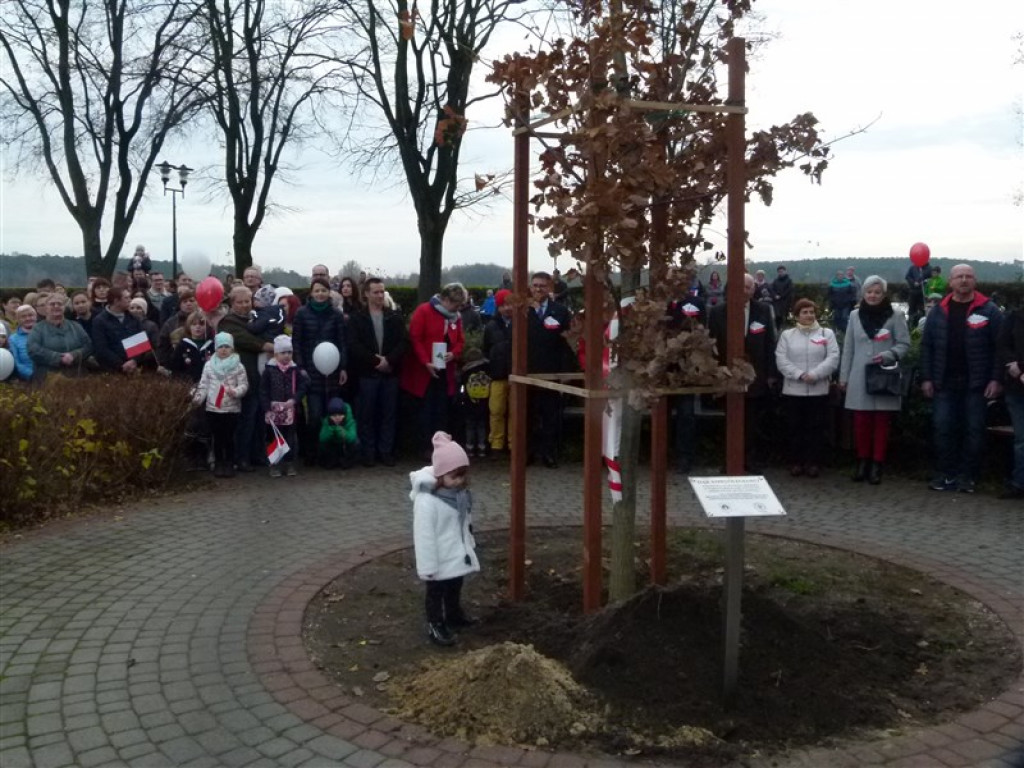 Dąb Niepodległości został posadzony w Głownie
