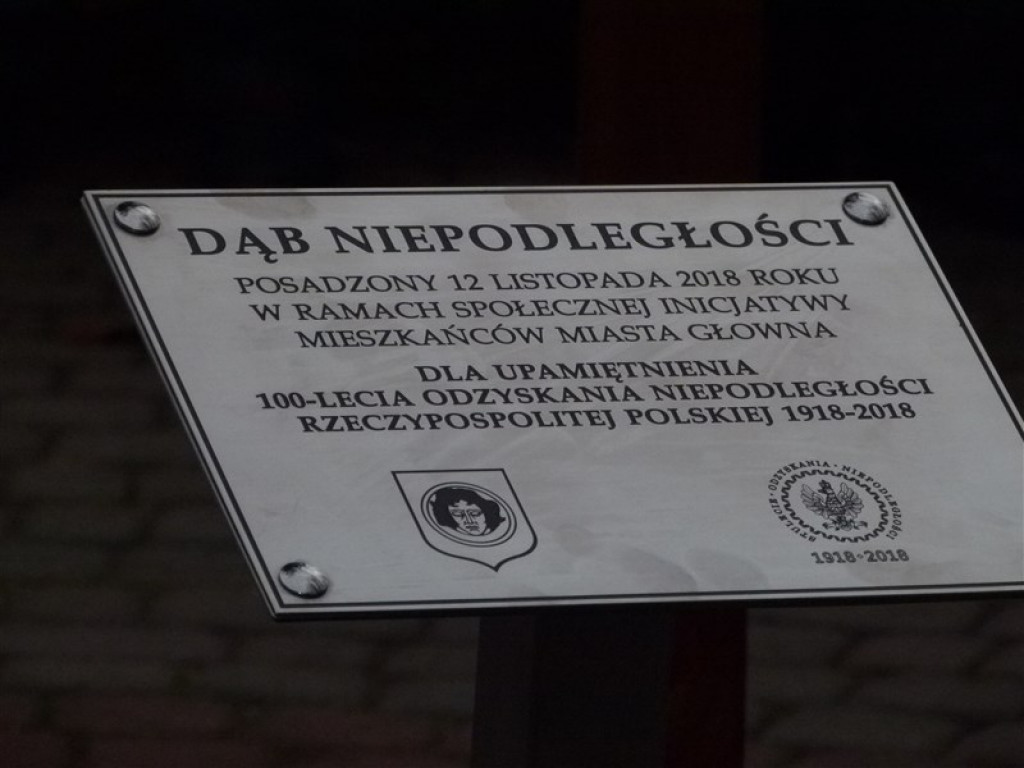 Dąb Niepodległości został posadzony w Głownie