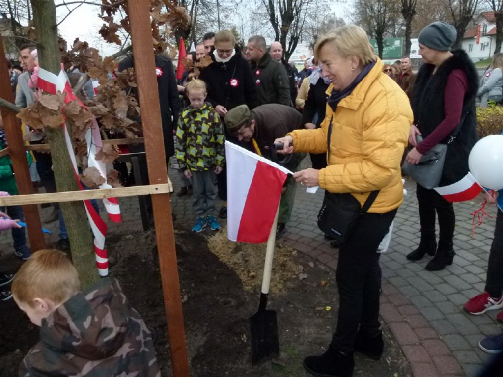 Dąb Niepodległości został posadzony w Głownie