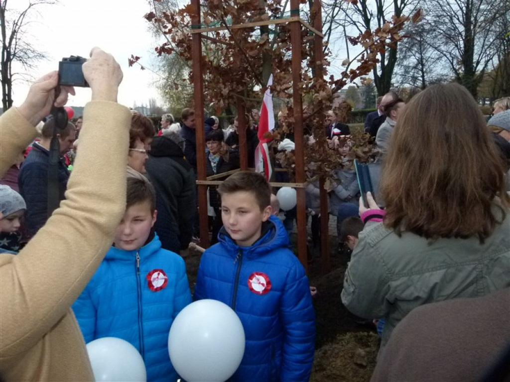 Dąb Niepodległości został posadzony w Głownie
