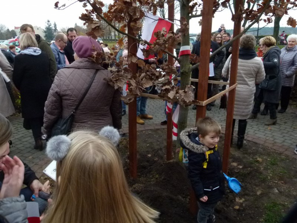 Dąb Niepodległości został posadzony w Głownie