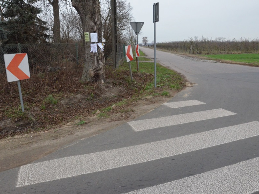 W Jeziorku pasy prowadzą prosto na... drzewo