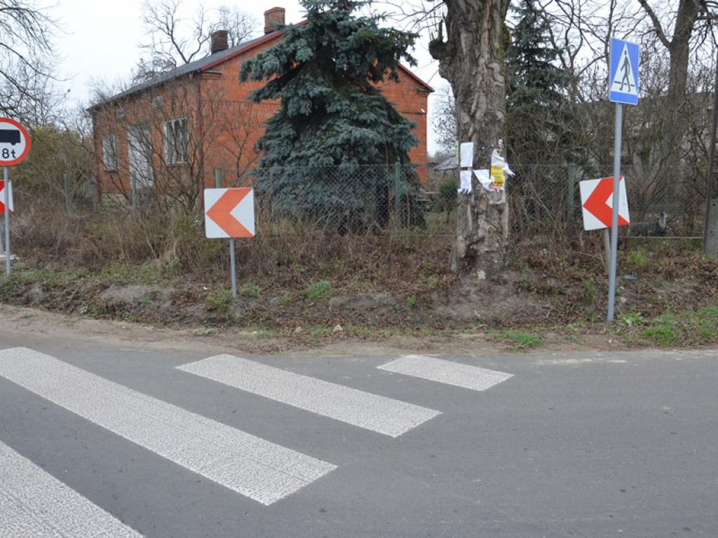 W Jeziorku pasy prowadzą prosto na... drzewo