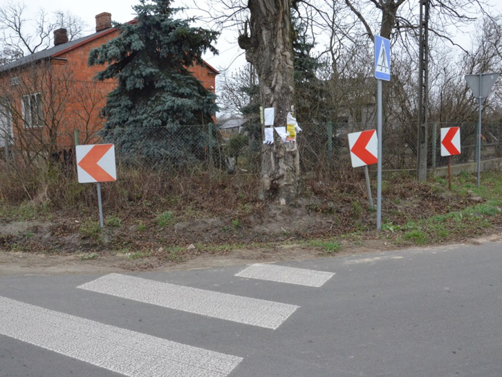 W Jeziorku pasy prowadzą prosto na... drzewo