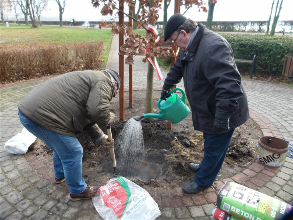 Pod Dębem Niepodległości zakopano kapsułę czasu