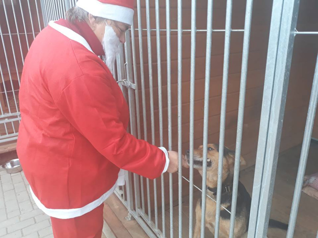 Mikołaj w Przytulisku już po raz piąty