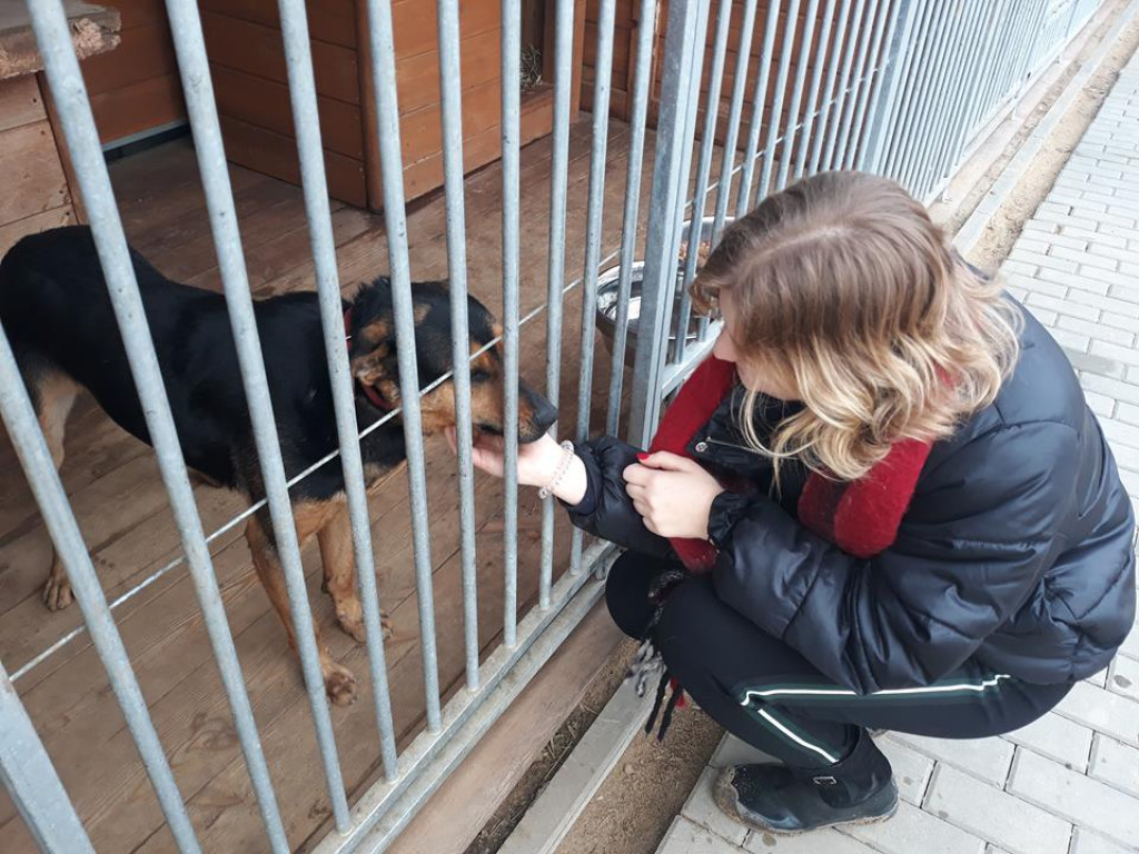 Mikołaj w Przytulisku już po raz piąty