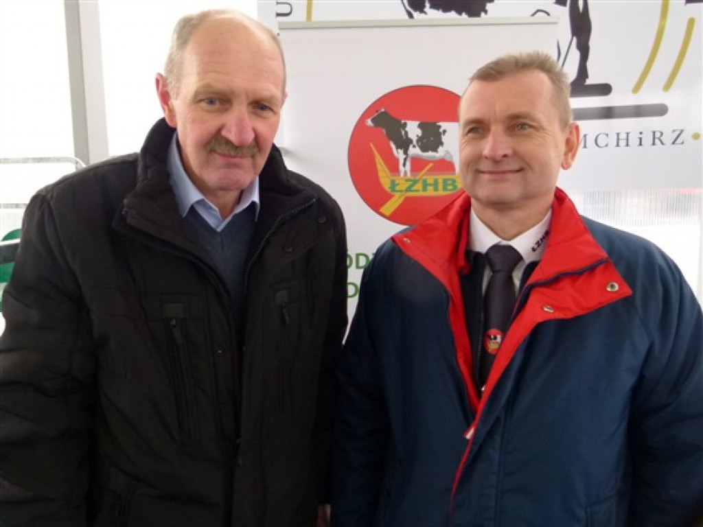 Pierwsza Aukcja Jałówek w Sercu Polski