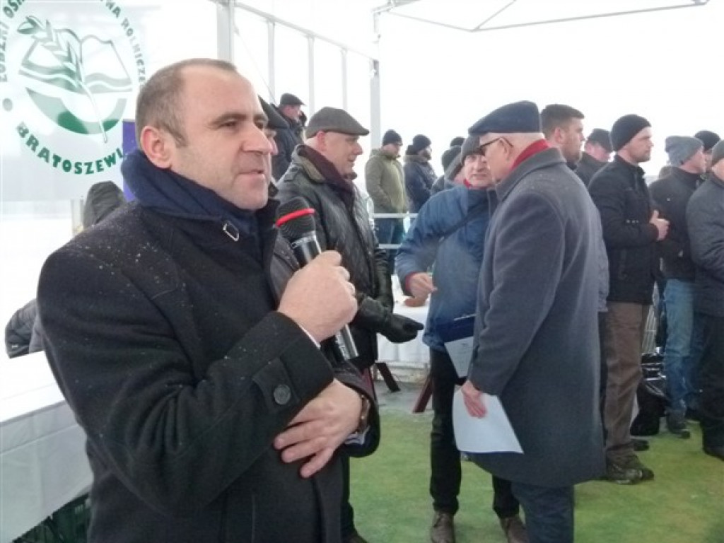 Pierwsza Aukcja Jałówek w Sercu Polski