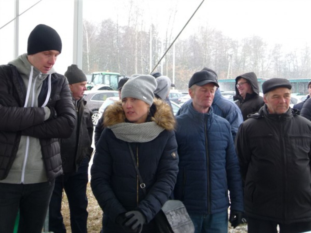 Pierwsza Aukcja Jałówek w Sercu Polski