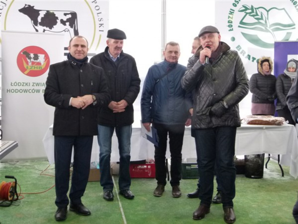 Pierwsza Aukcja Jałówek w Sercu Polski