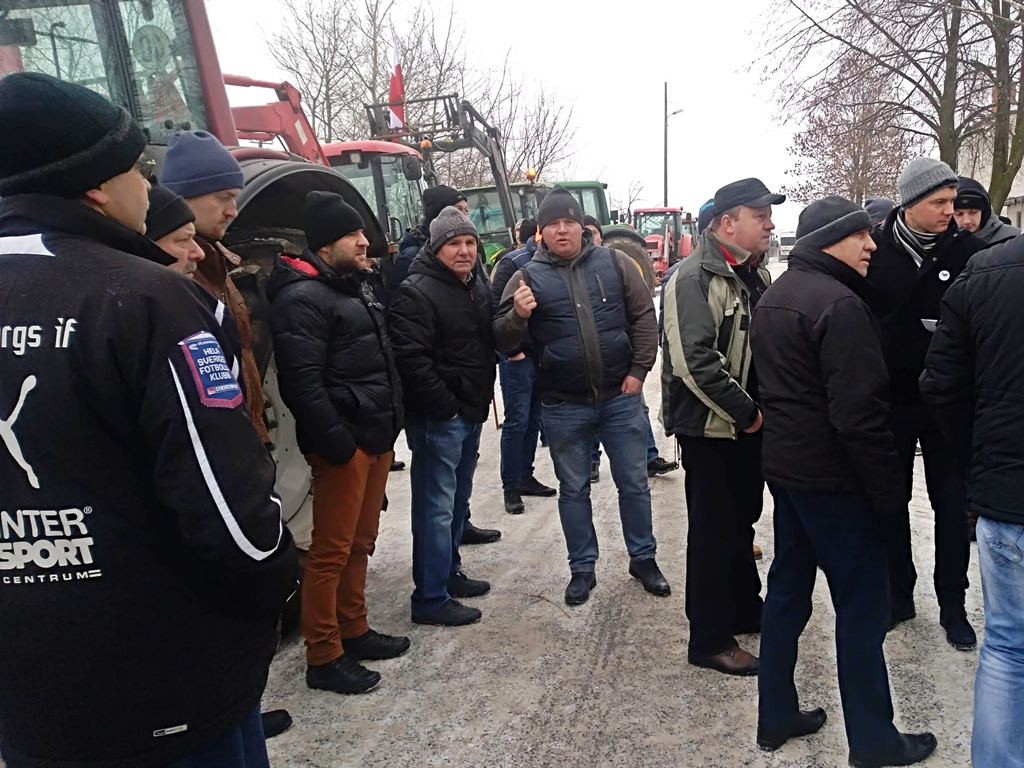 Protest hodowców trzody. Rolnicy jadą do starosty