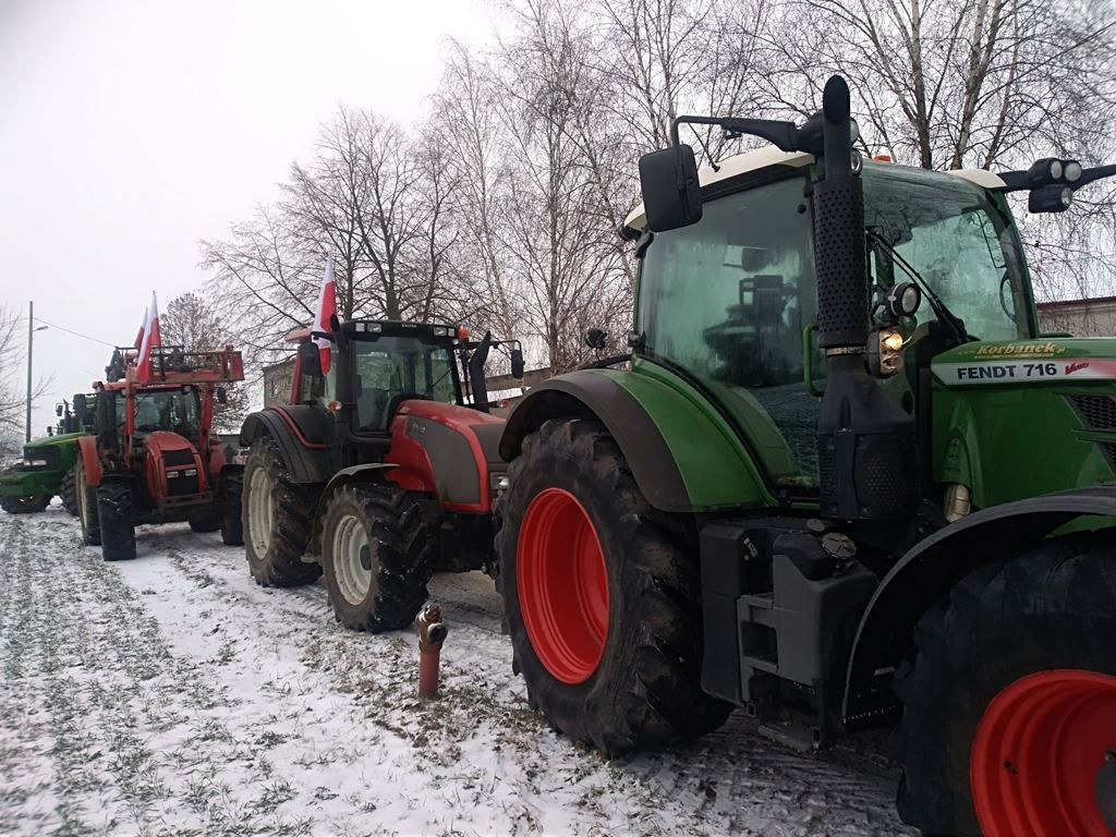 Protest hodowców trzody. Rolnicy jadą do starosty