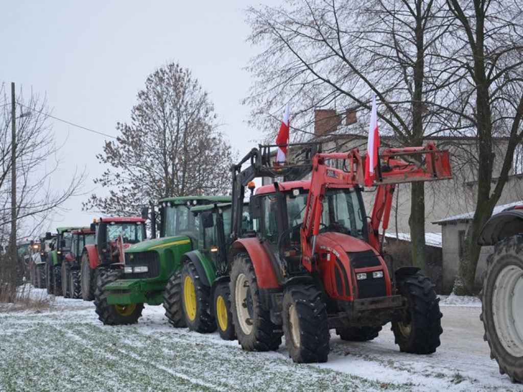Protest hodowców trzody. Rolnicy jadą do starosty