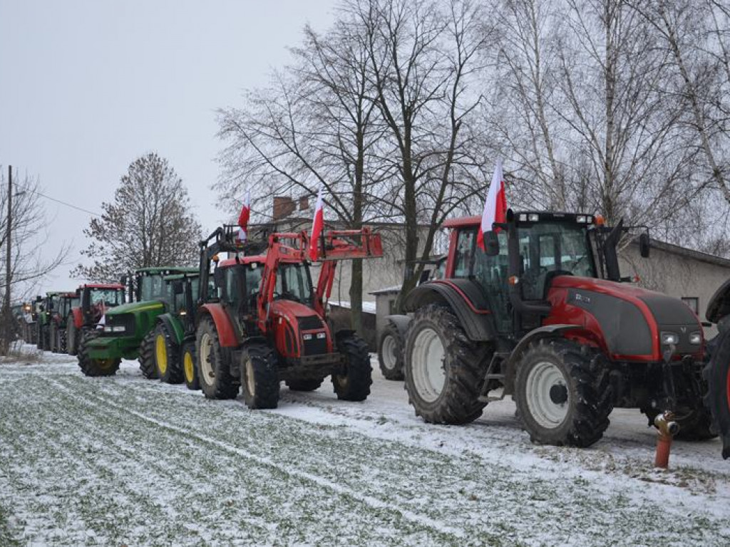 Protest hodowców trzody. Rolnicy jadą do starosty