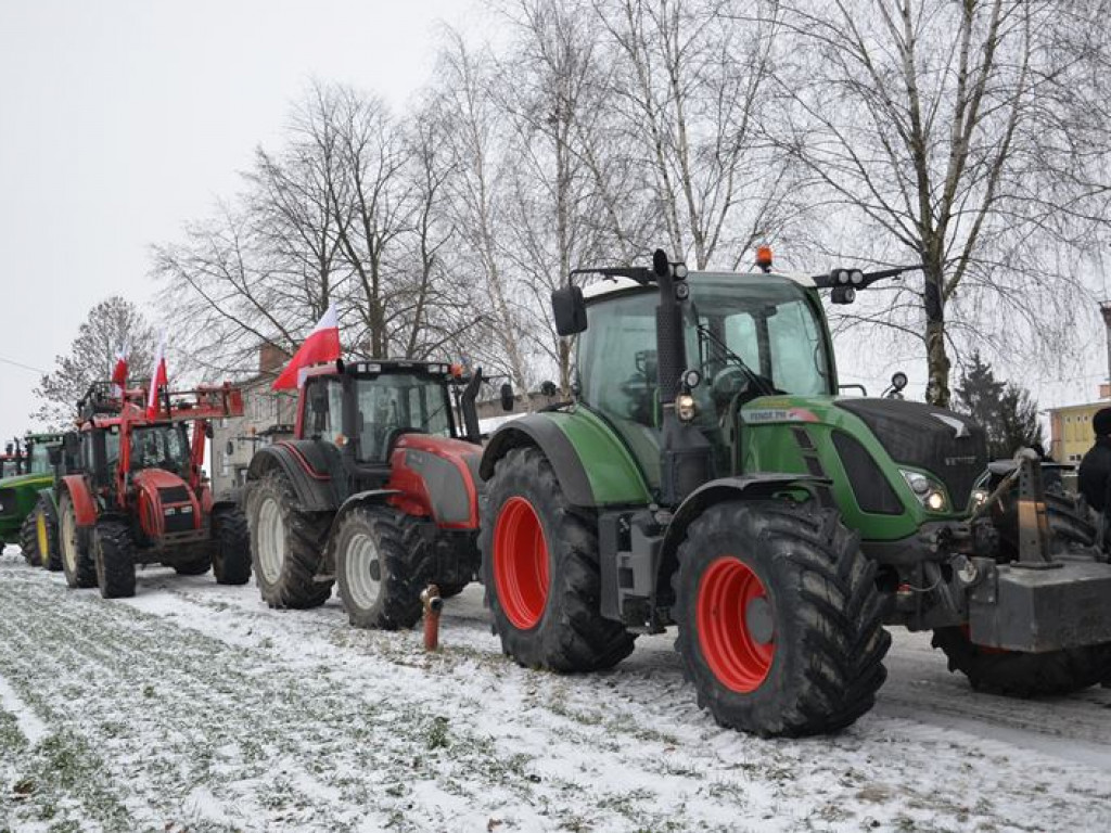 Protest hodowców trzody. Rolnicy jadą do starosty