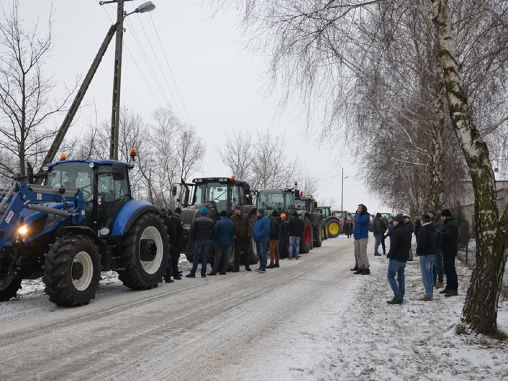 Protest hodowców trzody. Rolnicy jadą do starosty