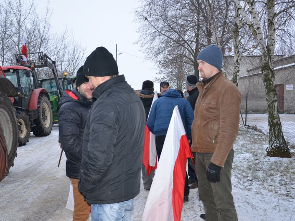 Protest hodowców trzody. Rolnicy jadą do starosty