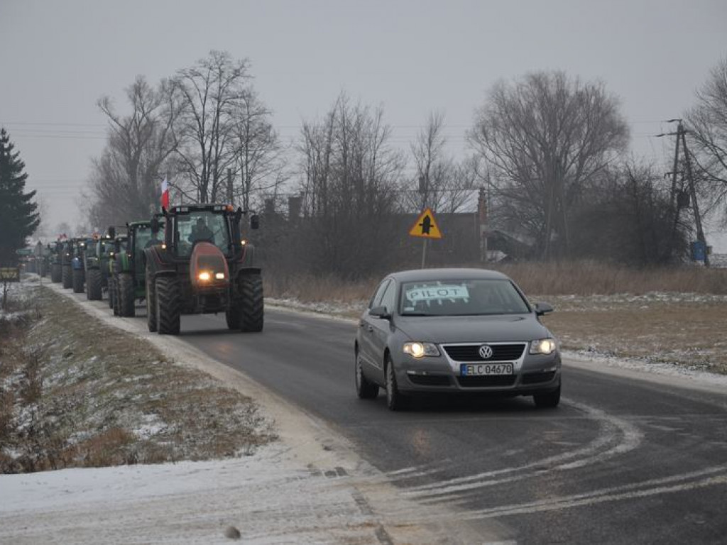 Protest hodowców trzody. Rolnicy jadą do starosty