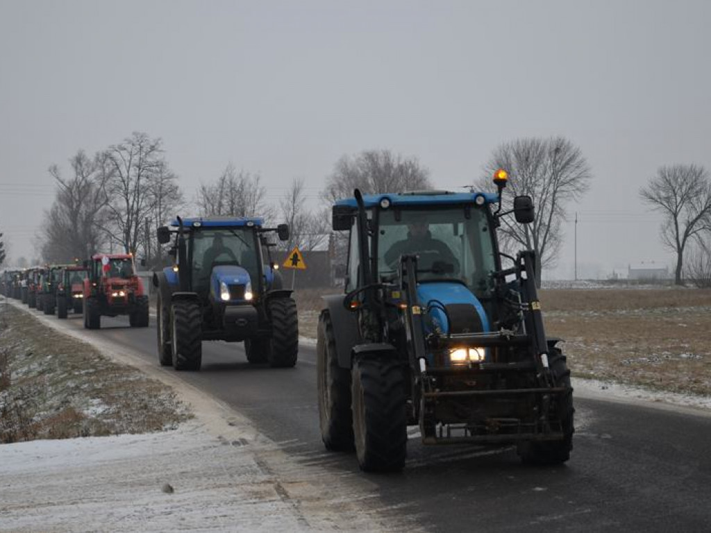 Protest hodowców trzody. Rolnicy jadą do starosty