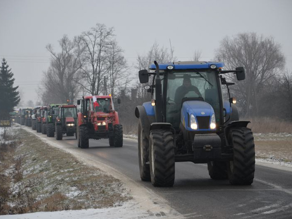 Protest hodowców trzody. Rolnicy jadą do starosty