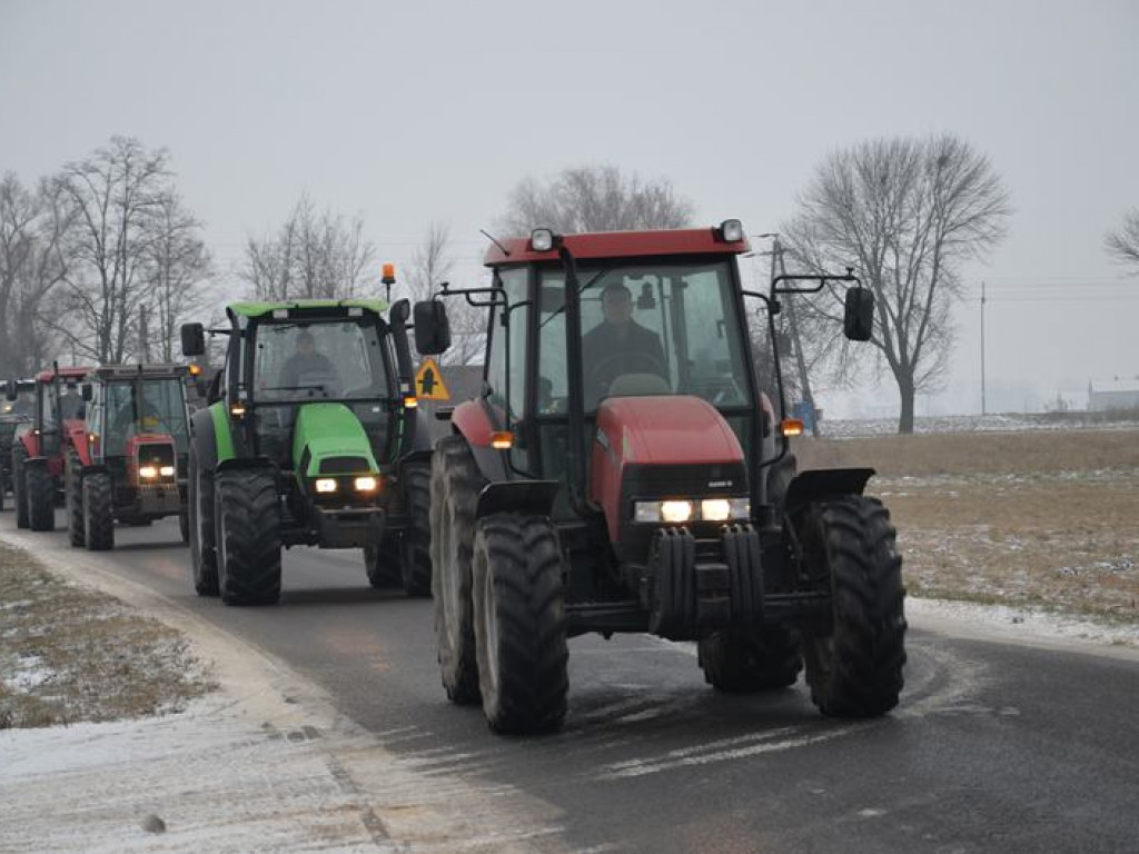 Protest hodowców trzody. Rolnicy jadą do starosty