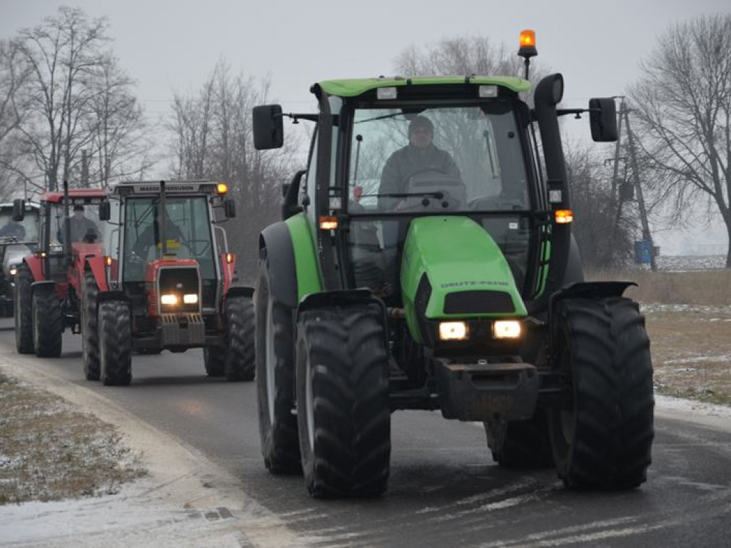 Protest hodowców trzody. Rolnicy jadą do starosty