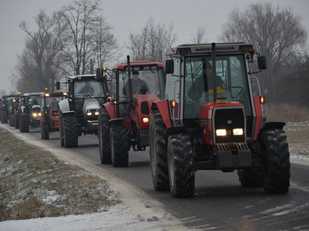 Protest hodowców trzody. Rolnicy jadą do starosty