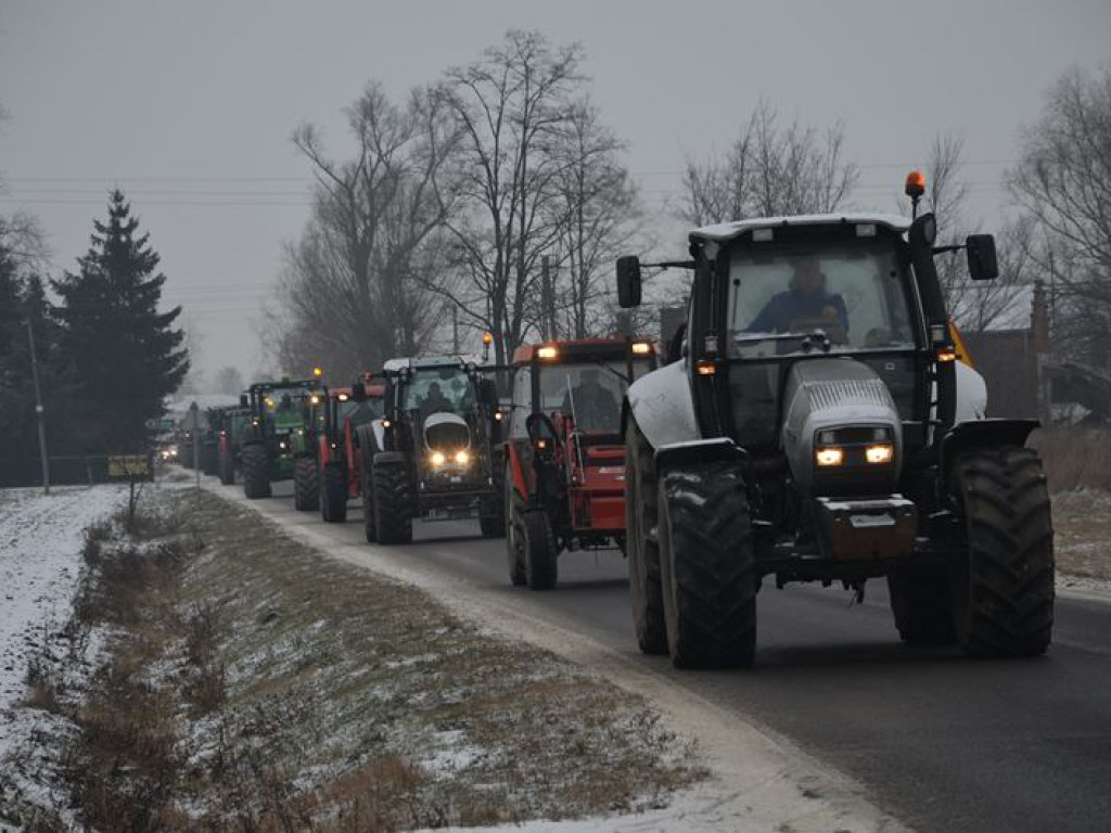 Protest hodowców trzody. Rolnicy jadą do starosty