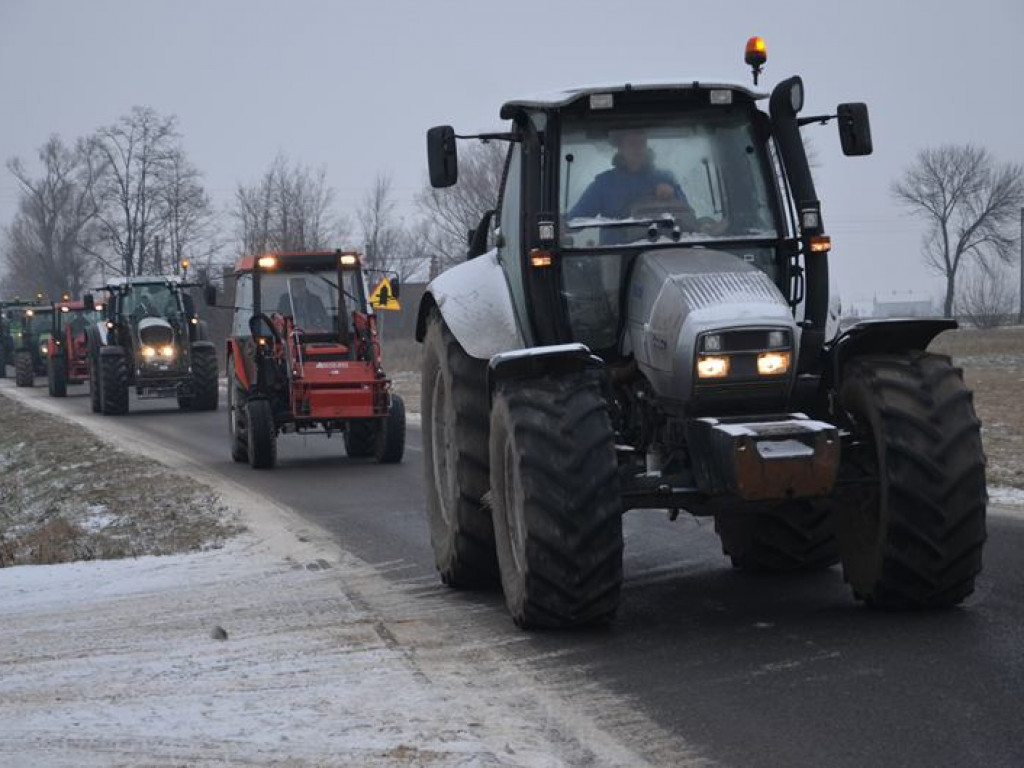 Protest hodowców trzody. Rolnicy jadą do starosty