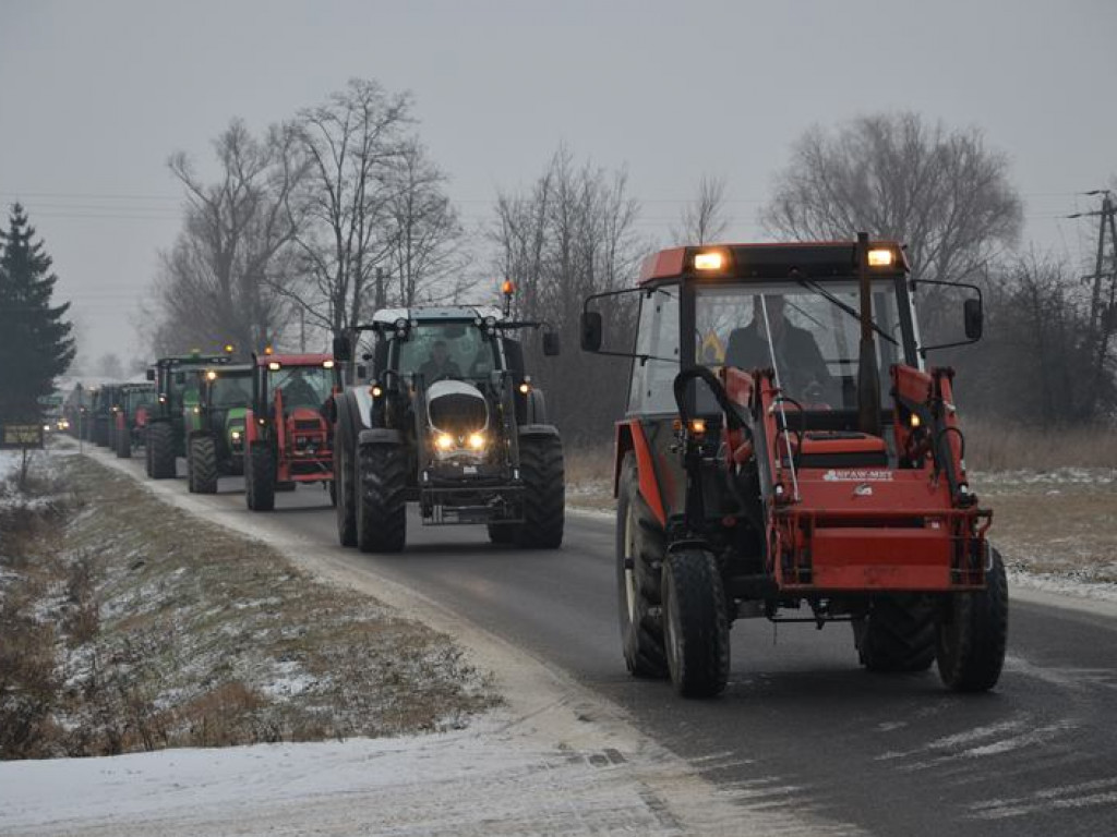 Protest hodowców trzody. Rolnicy jadą do starosty