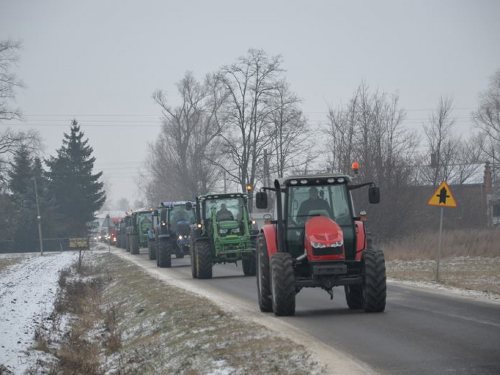 Protest hodowców trzody. Rolnicy jadą do starosty
