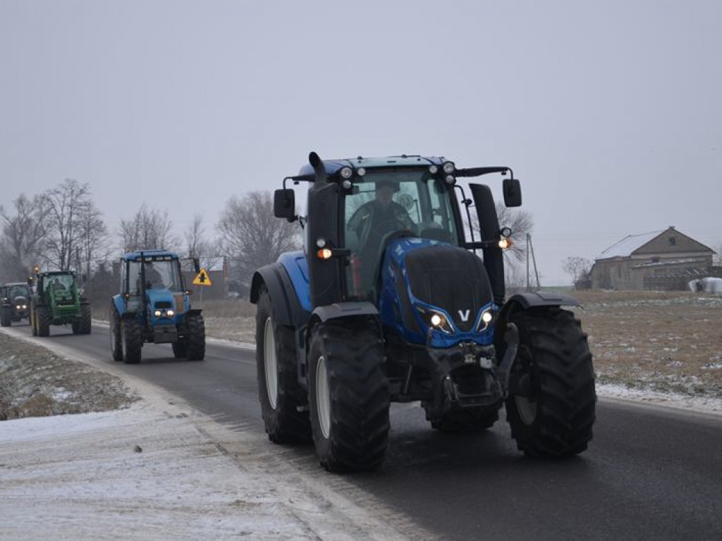 Protest hodowców trzody. Rolnicy jadą do starosty