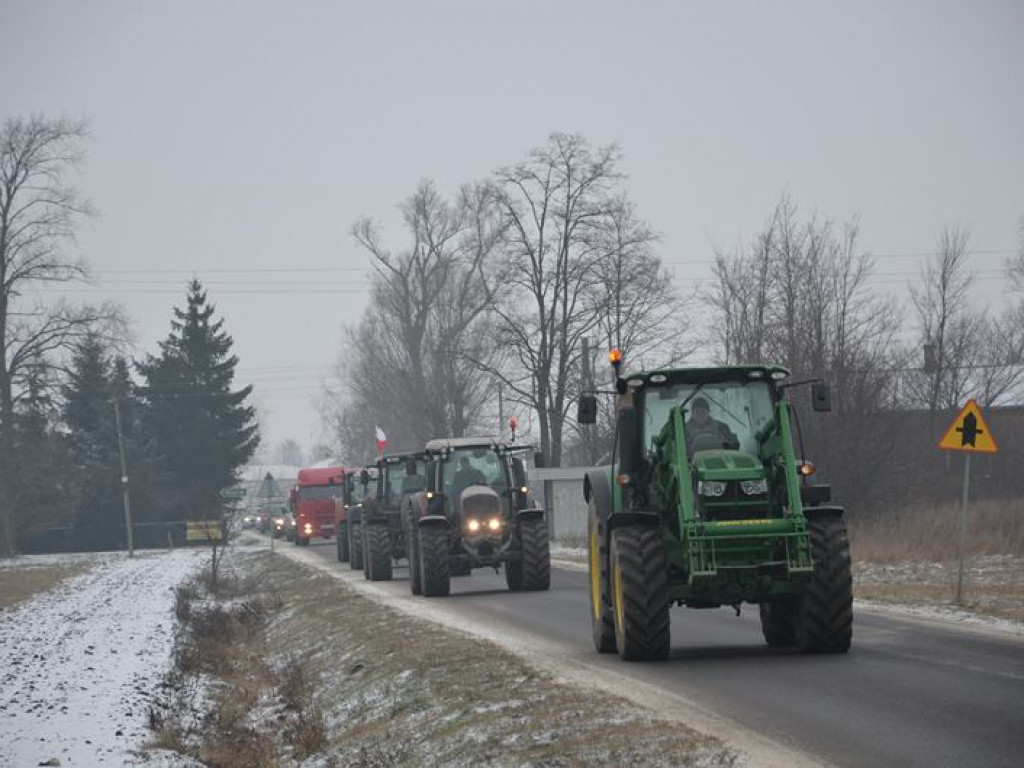 Protest hodowców trzody. Rolnicy jadą do starosty