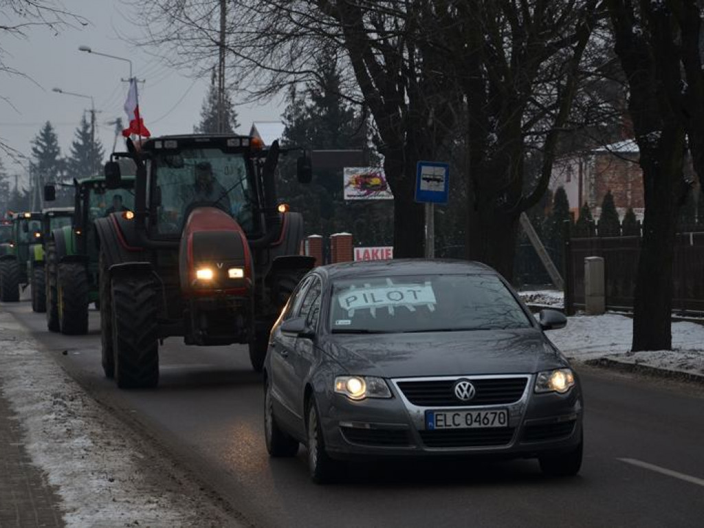 Protest hodowców trzody. Rolnicy jadą do starosty