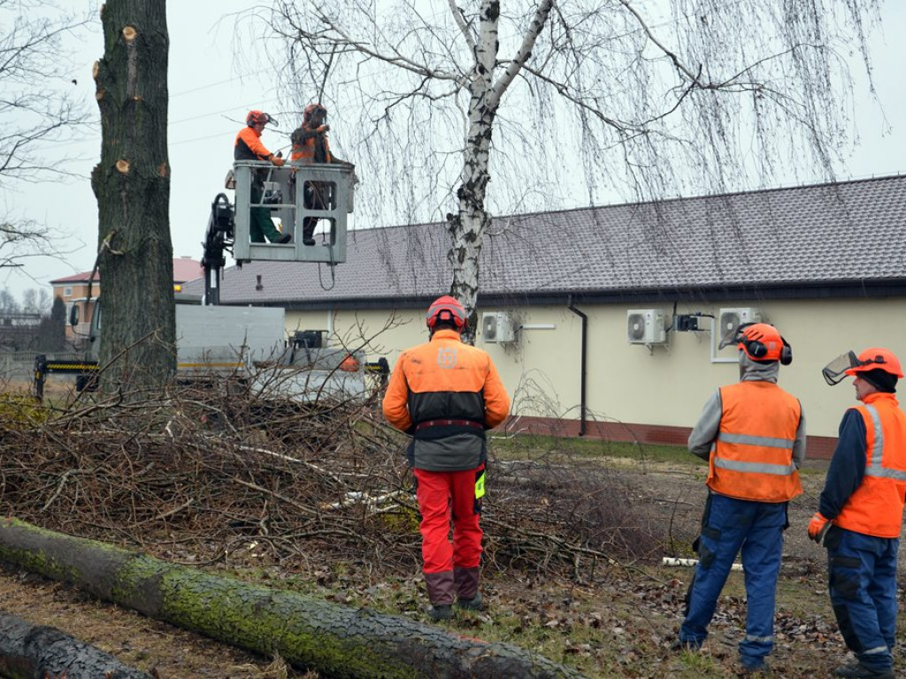 Trwa wycinka drzew wzdłuż torów