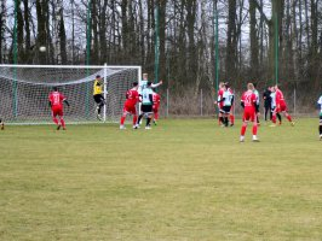 Ostatni sparing Pelikan wygrał