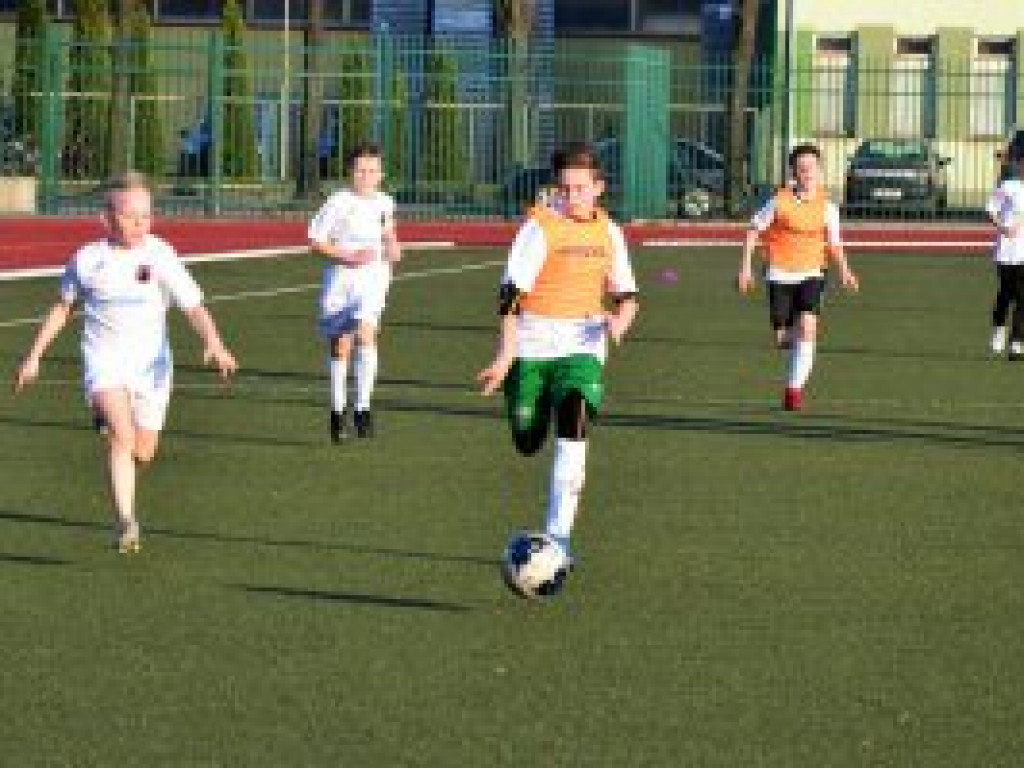 Pelikan-2007 musi jeszcze popracować