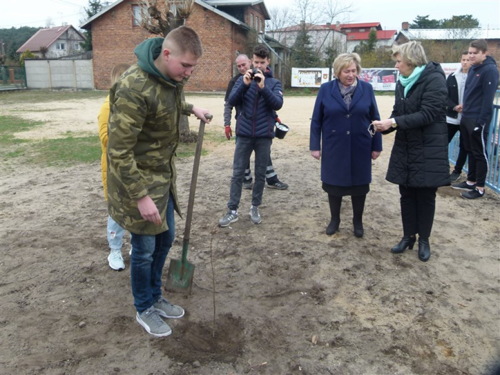 Gimnazjaliści z Głowna posadzili lipę 100-lecie Województwa Łódzkiego