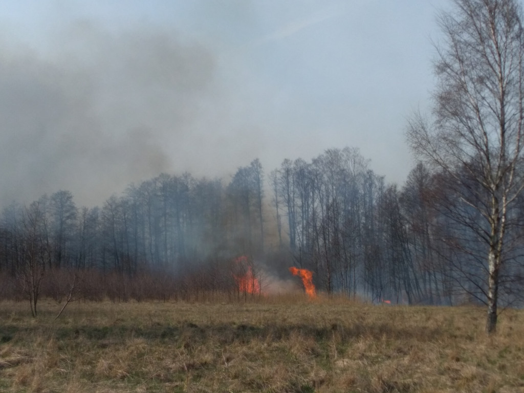 Smolice:  Pięć hektarów traw w ogniu