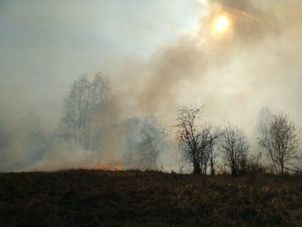 Smolice:  Pięć hektarów traw w ogniu