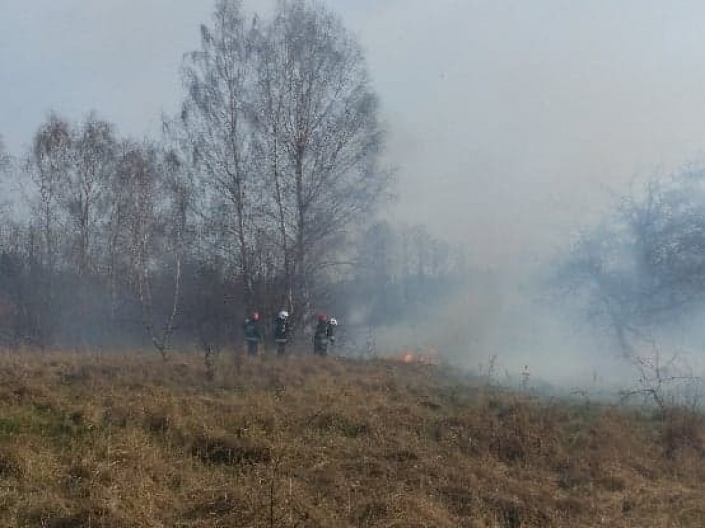 Smolice:  Pięć hektarów traw w ogniu
