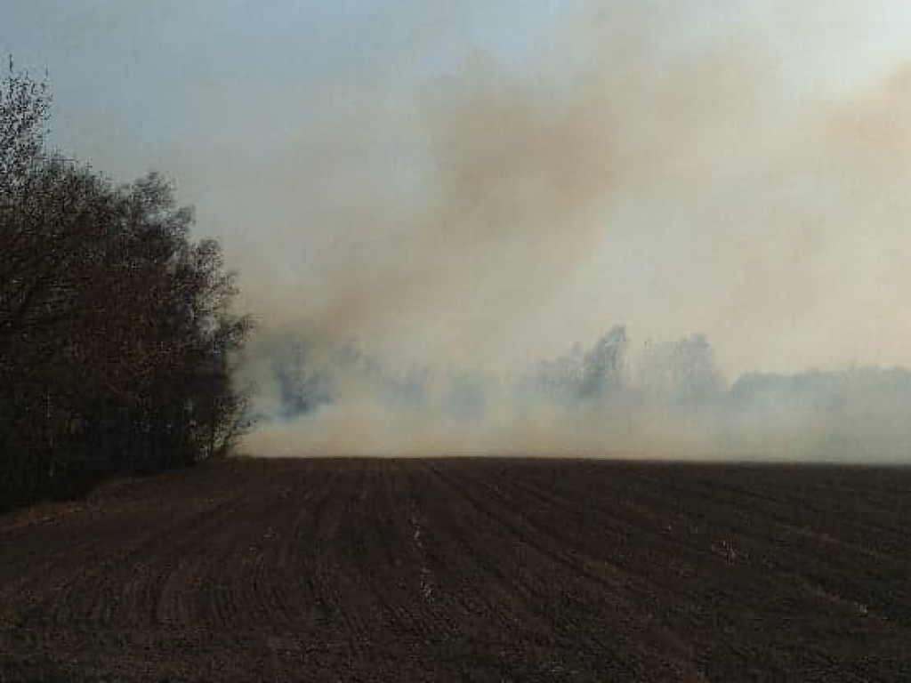 Smolice:  Pięć hektarów traw w ogniu