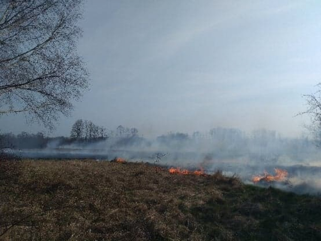 Smolice:  Pięć hektarów traw w ogniu