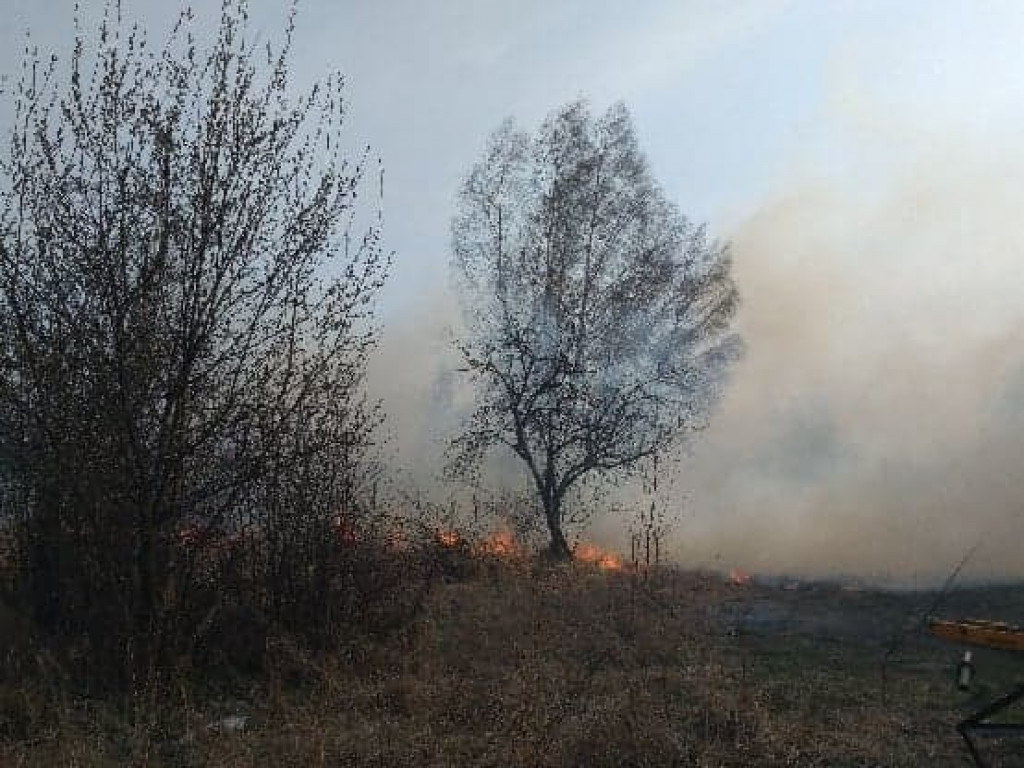 Smolice:  Pięć hektarów traw w ogniu
