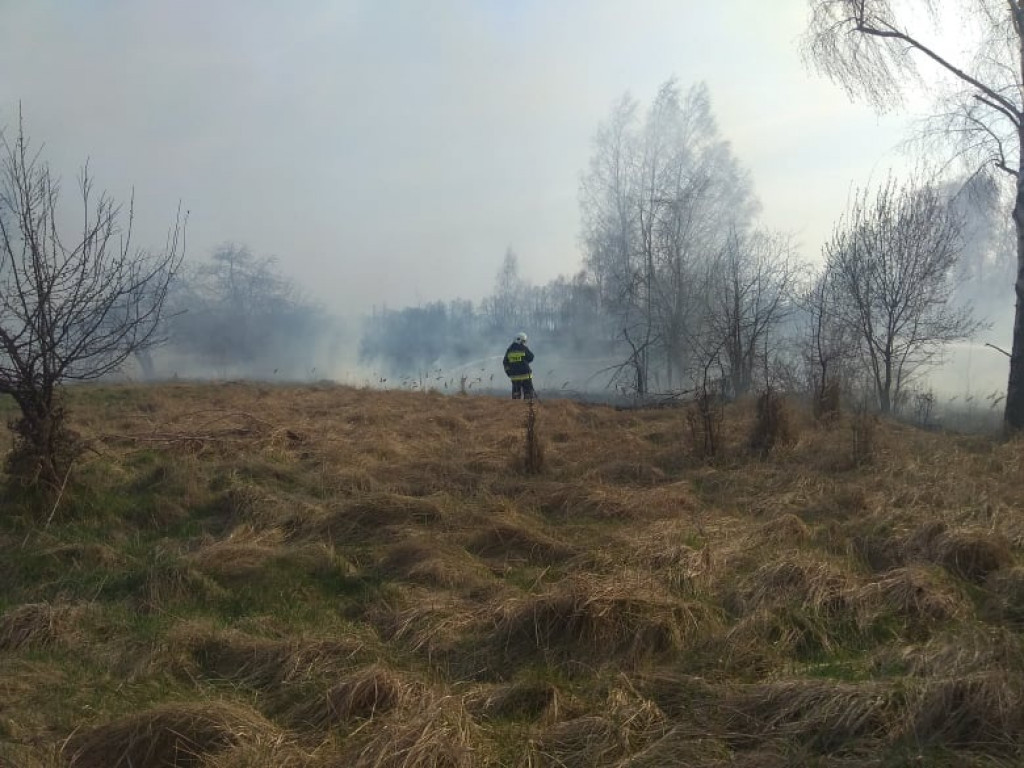 Smolice:  Pięć hektarów traw w ogniu