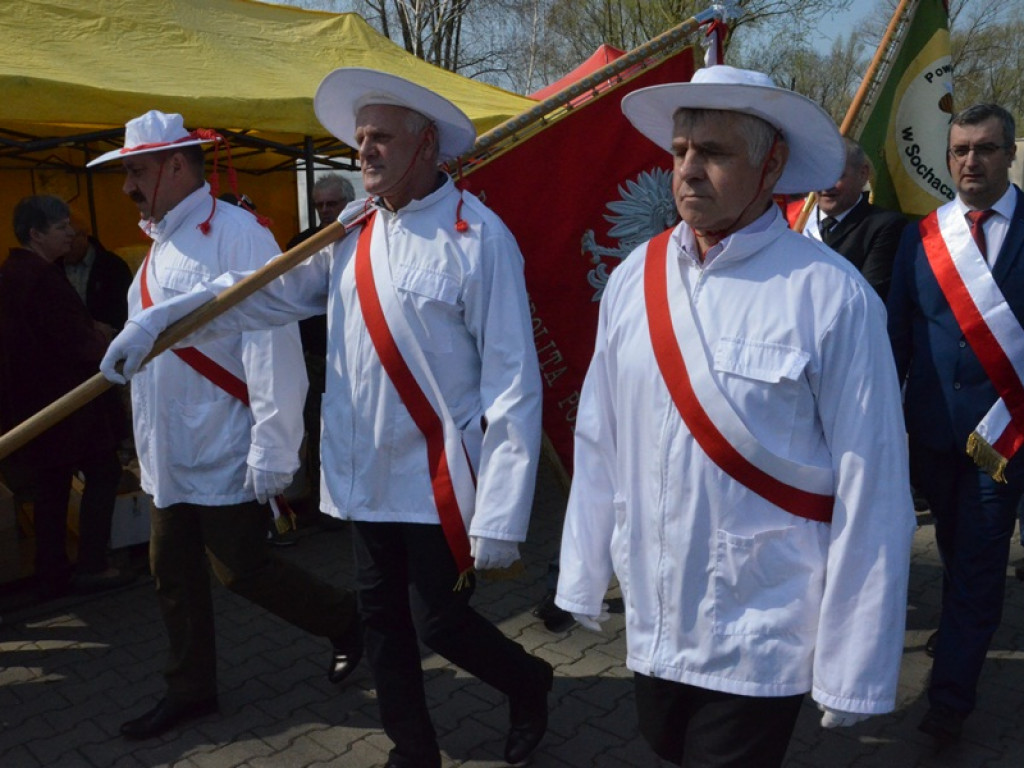 Targi Pszczelarskie 