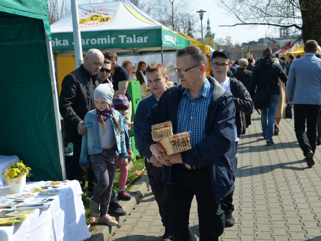 Targi Pszczelarskie 