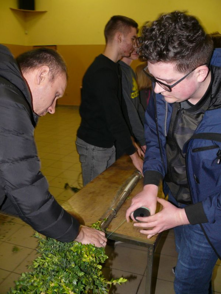 Młodzi z Korabki tworzyli palmę