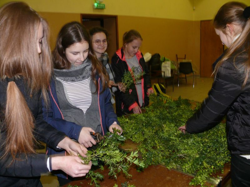 Młodzi z Korabki tworzyli palmę